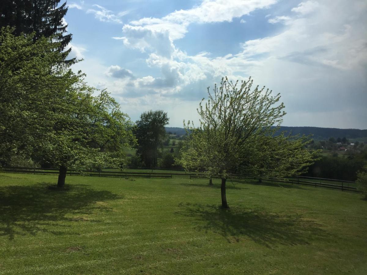 Pension Berghof Schönsee Buitenkant foto